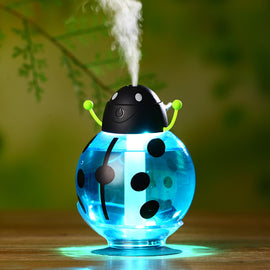 Portable Mini Beetle USB Humidifier