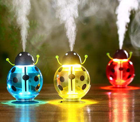 Portable Mini Beetle USB Humidifier